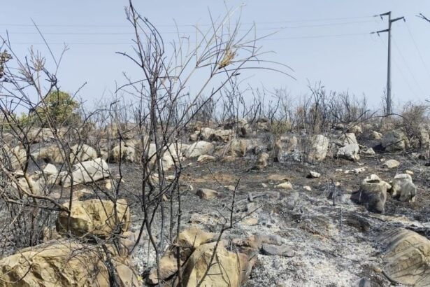 Roccadaspide, brucia ancora la montagna: elicotteri in azione dal fiume Calore