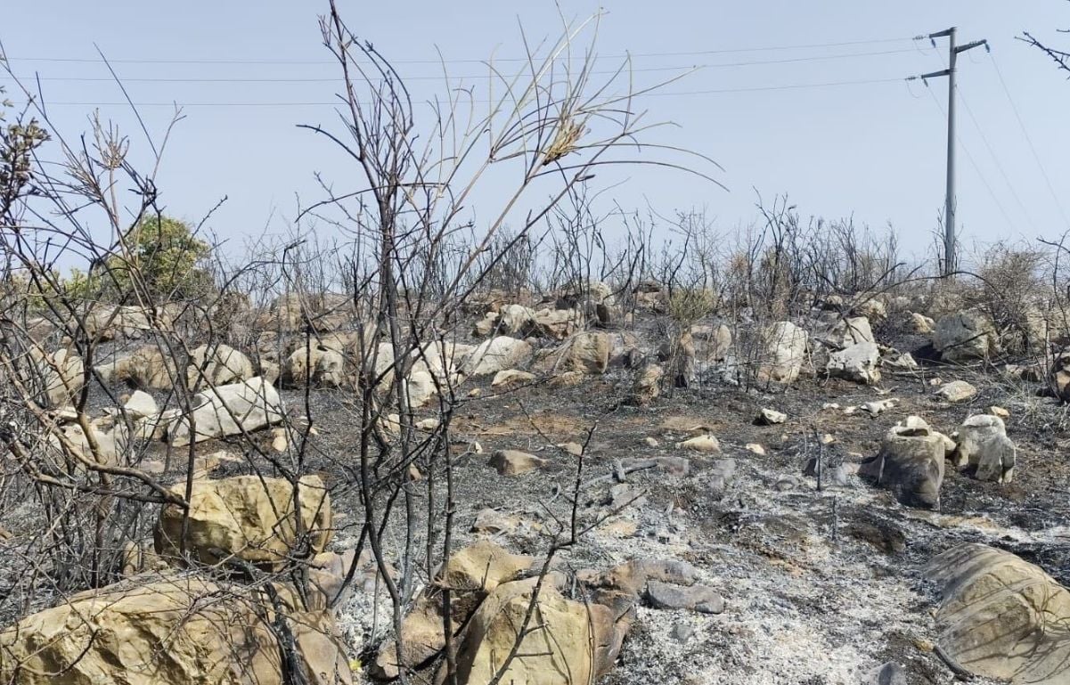 Roccadaspide, brucia ancora la montagna: elicotteri in azione dal fiume Calore