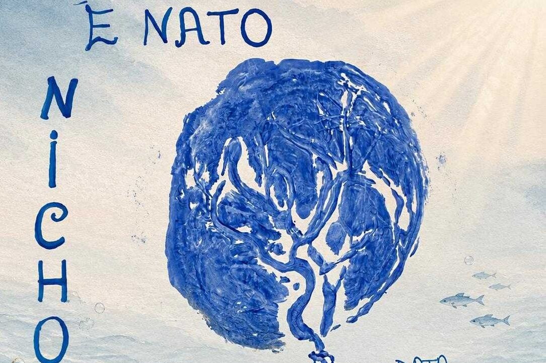 Ospedale di Sapri nascita