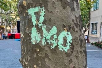 Vandalismo a Caselle in Pittari, la dura reazione del sindaco Nuzzo