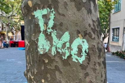 Vandalismo a Caselle in Pittari, la dura reazione del sindaco Nuzzo