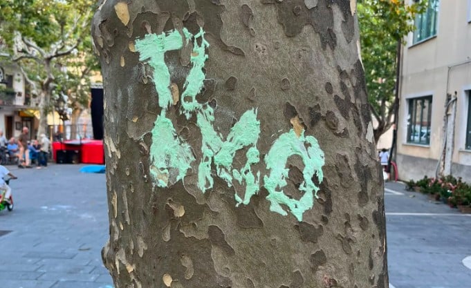 Vandalismo a Caselle in Pittari, la dura reazione del sindaco Nuzzo