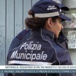 Tg InfoCilento 27 agosto 2026