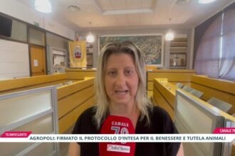 Agropoli: firmato il protocollo d’intesa per la tutela e il benessere animale