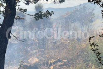 Incendio a Vibonati, distrutti due ettari di vegetazione: paura a Tempitelle