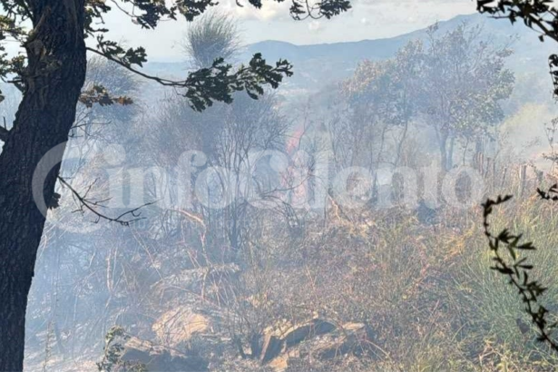 Incendio a Vibonati, distrutti due ettari di vegetazione: paura a Tempitelle