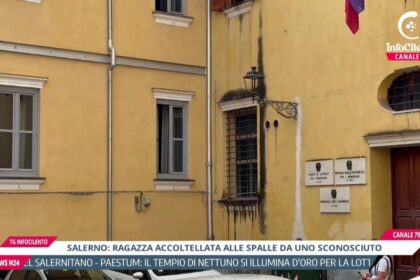 Tg InfoCilento 24 settembre 2026, edizione delle 13.55