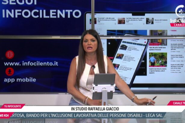 Tg InfoCilento 15 settembre 2026, edizione delle 13:55