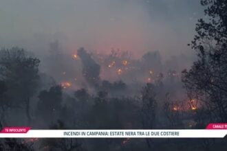 Incendi nel Salernitano, estate devastante: colpite Costiera ed entroterra 