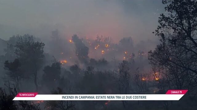 Incendi nel Salernitano, estate devastante: colpite Costiera ed entroterra