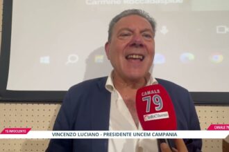 Castanicoltura a Roccadaspide: il futuro tra sostenibilità e turismo