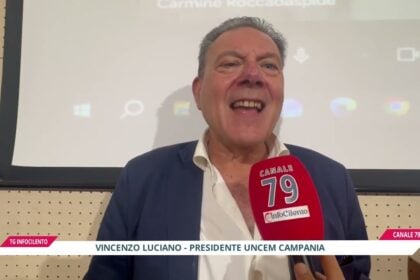 Castanicoltura a Roccadaspide: il futuro tra sostenibilità e turismo