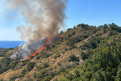 Incendio tra Agropoli e Prignano: fiamme ai margini della Sp45