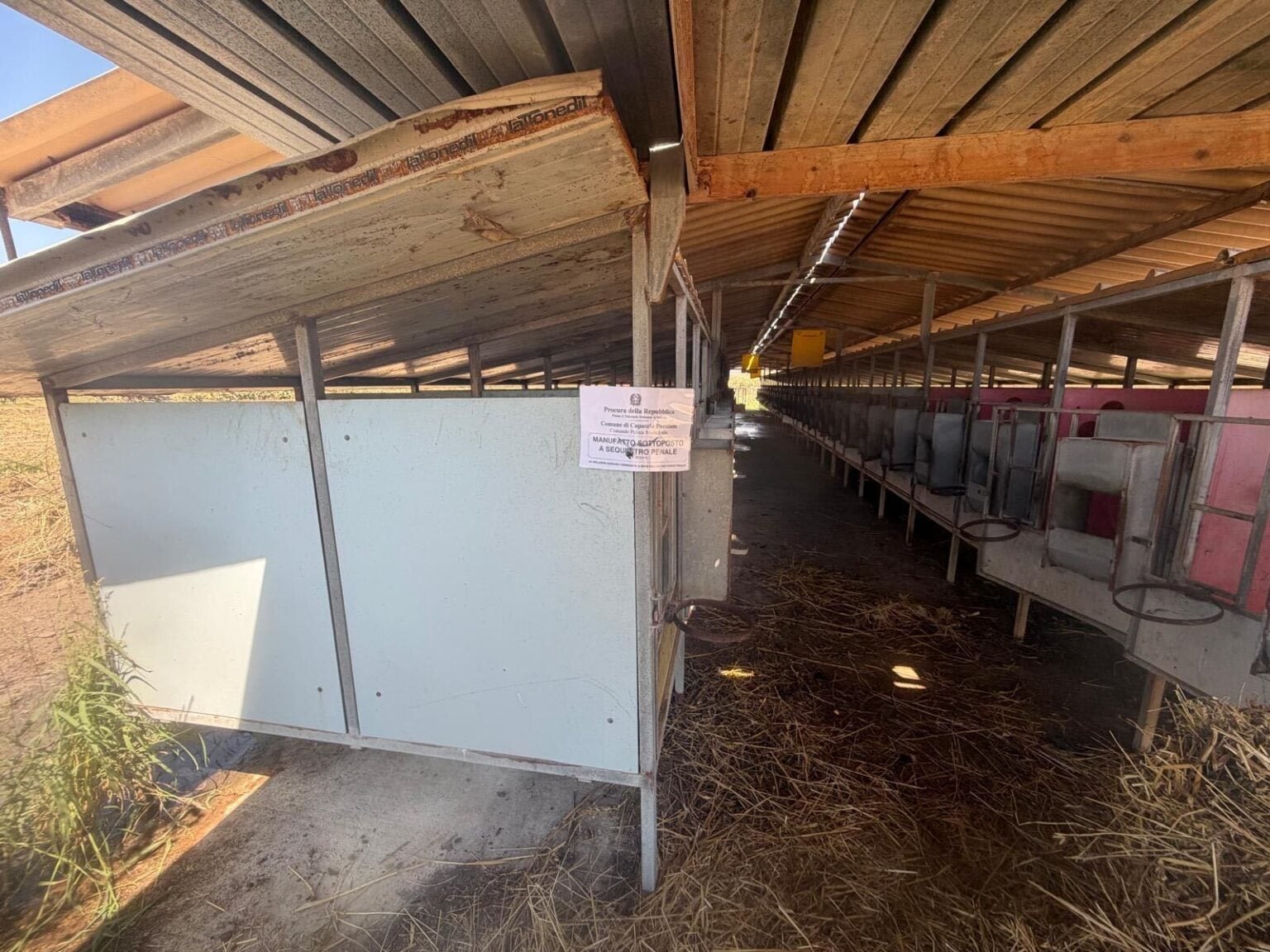 Capaccio-Paestum-azienda-zootecnica-sequestrata