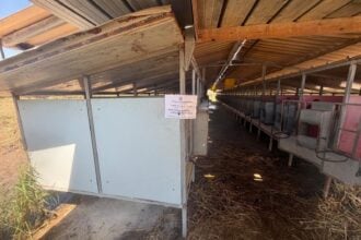 Capaccio-Paestum-azienda-zootecnica-sequestrata