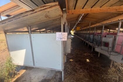 Capaccio-Paestum-azienda-zootecnica-sequestrata