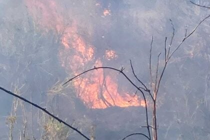 Incendio a Celle di Bulgheria, domato il rogo in località Castagnola