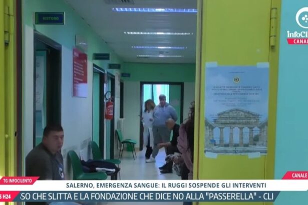 Tg InfoCilento 5 settembre 2026