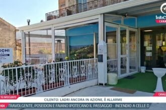 Tg InfoCilento 7 settembre 2026