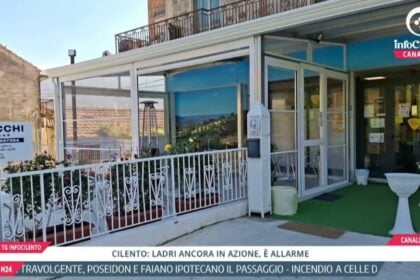 Tg InfoCilento 7 settembre 2026