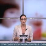 Tg InfoCilento 19 settembre 2026, edizione delle 13:55