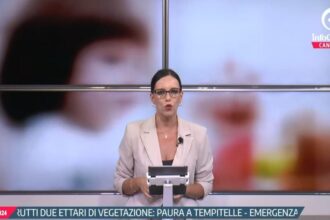 Tg InfoCilento 19 settembre 2026, edizione delle 13:55