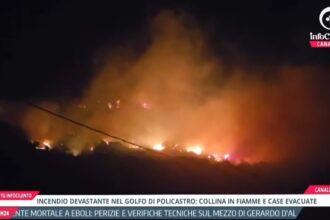 Tg InfoCilento 23 settembre 2026, edizione delle 19:55