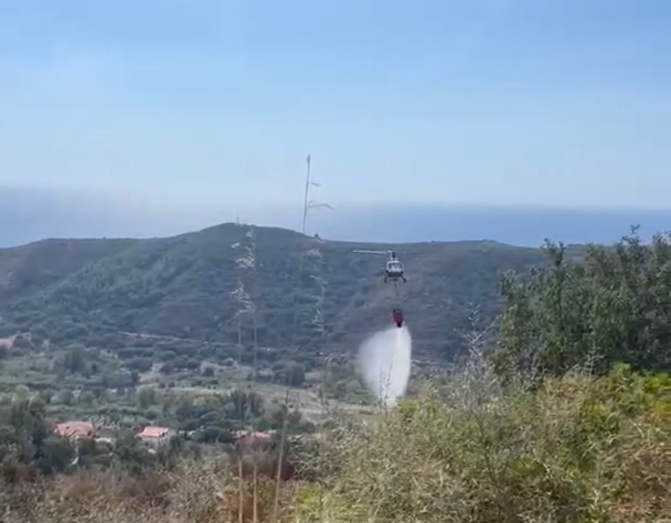 Centola, incendio distrugge la macchia mediterranea ad Arianello: fiamme domate dai soccorsi