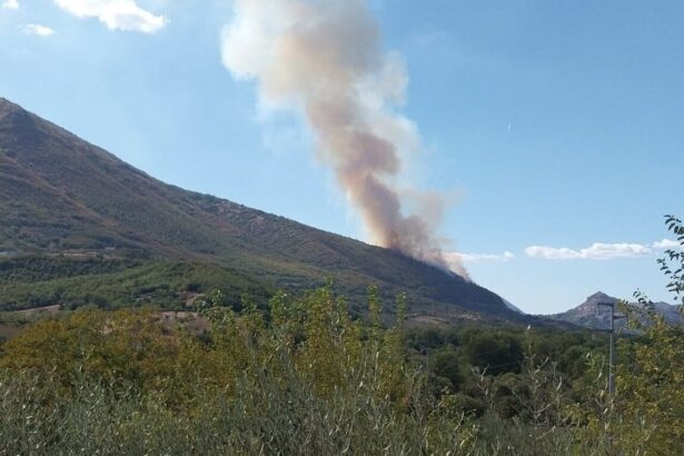 Incendio tra Petina e Sicignano: fiamme e fumo visibili dall’A2