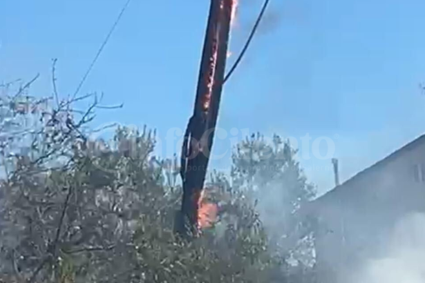 Incendio a Roccadaspide: fiamme e paura in località Acquaviva