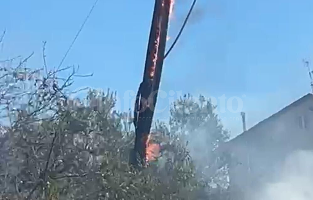 Incendio a Roccadaspide: fiamme e paura in località Acquaviva