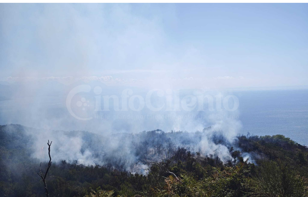 Incendio a Santa Marina: dieci ettari di macchia mediterranea in fiamme