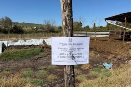 Sequestro azienda bufalina a Scigliati: sversamenti illeciti nel canale