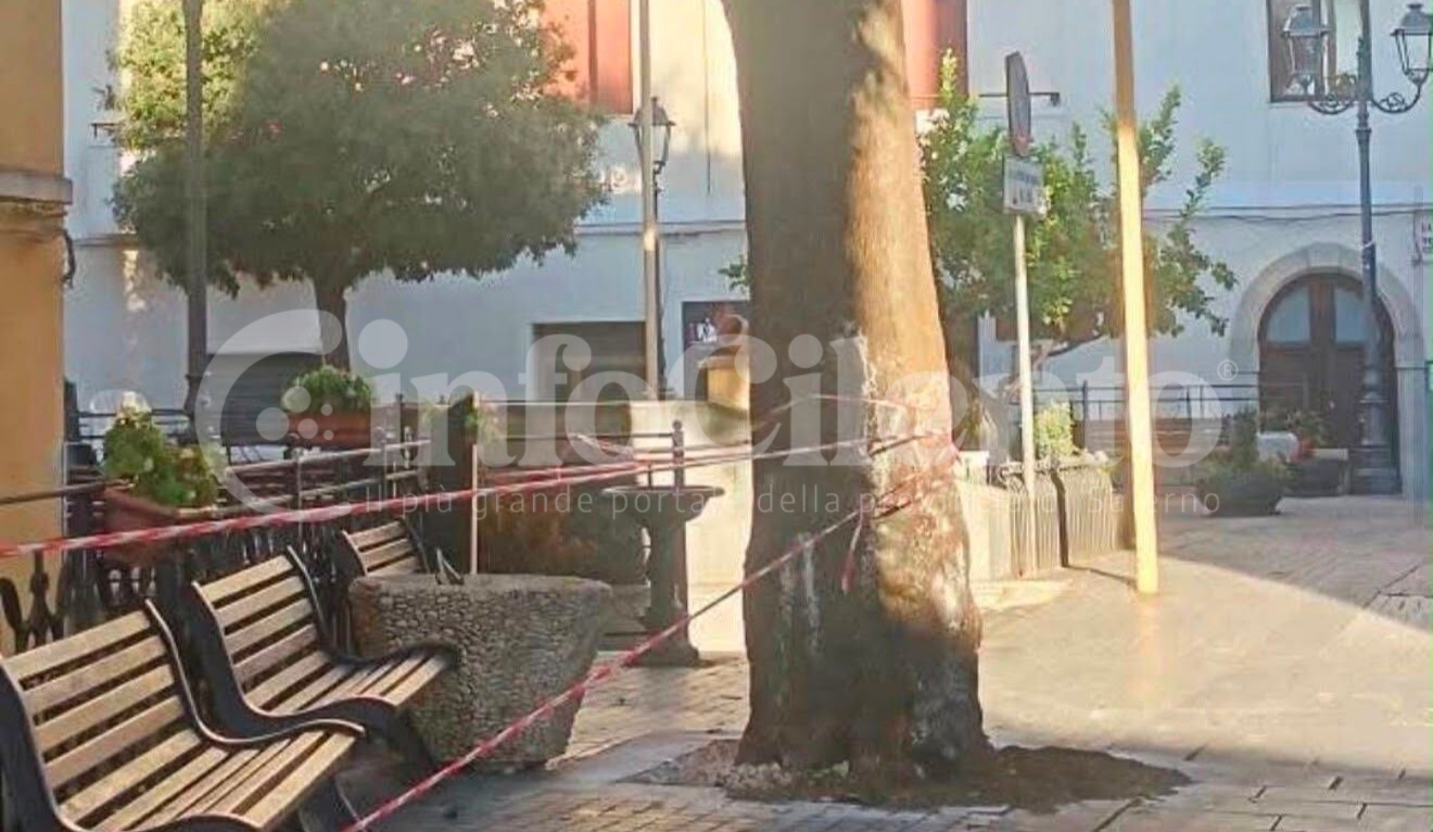 Progetto senza titolo_20260905_150426_0000