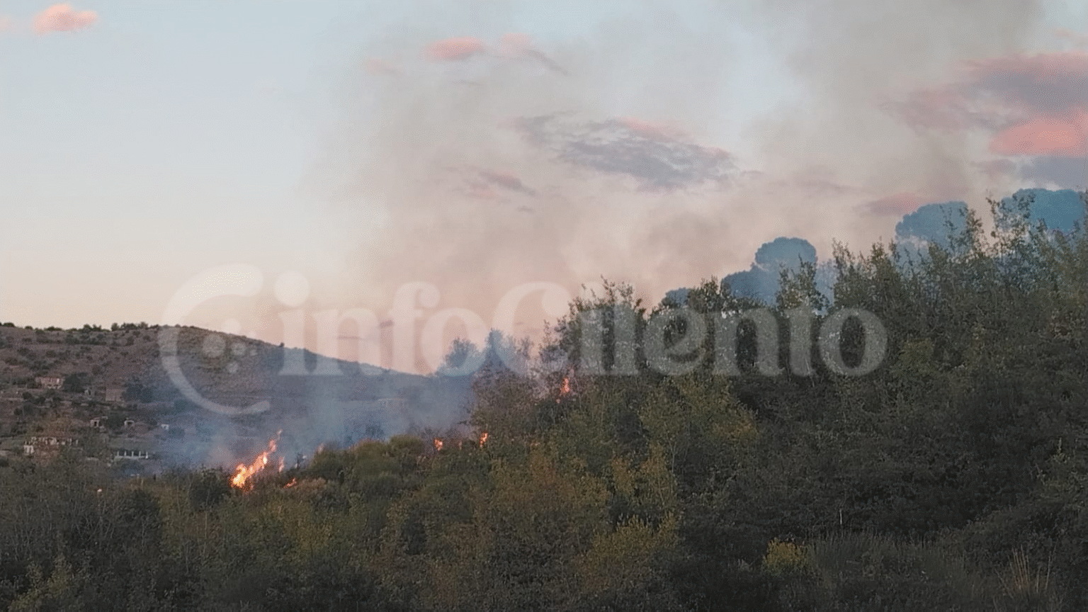 Incendio a Moio Alto ad Agropoli: fiamme vicine alle case e allarme nel Cilento