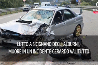 Tg InfoCilento 8 settembre 2026