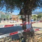 Vibonati-sequestro-mc-donalds (1)-650
