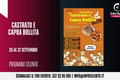 Tg InfoCilento 24 settembre 2026, edizione delle 19:55
