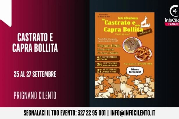 Tg InfoCilento 24 settembre 2026, edizione delle 19:55