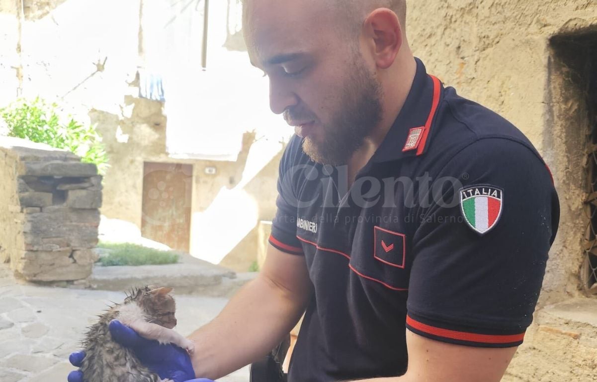 Aquara, gattino intrappolato salvato da carabinieri e polizia locale