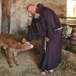 A Padula torna la benedizione delle campagne: la tradizione di San Francesco