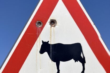 Cartelli stradali presi a fucilate a Sicignano: lo sdegno del sindaco Orco