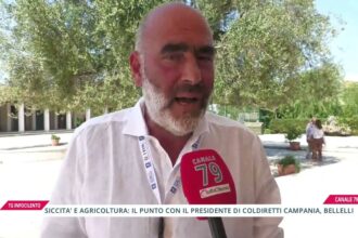 Emergenza siccità in Campania, comuni chiedono aiuto: il punto con Ettore Bellelli, presidente Coldiretti