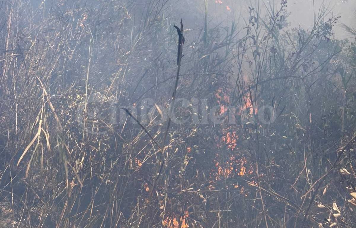 Incendio a Torre Orsaia: fiamme in località Pedale, macchia mediterranea in fumo