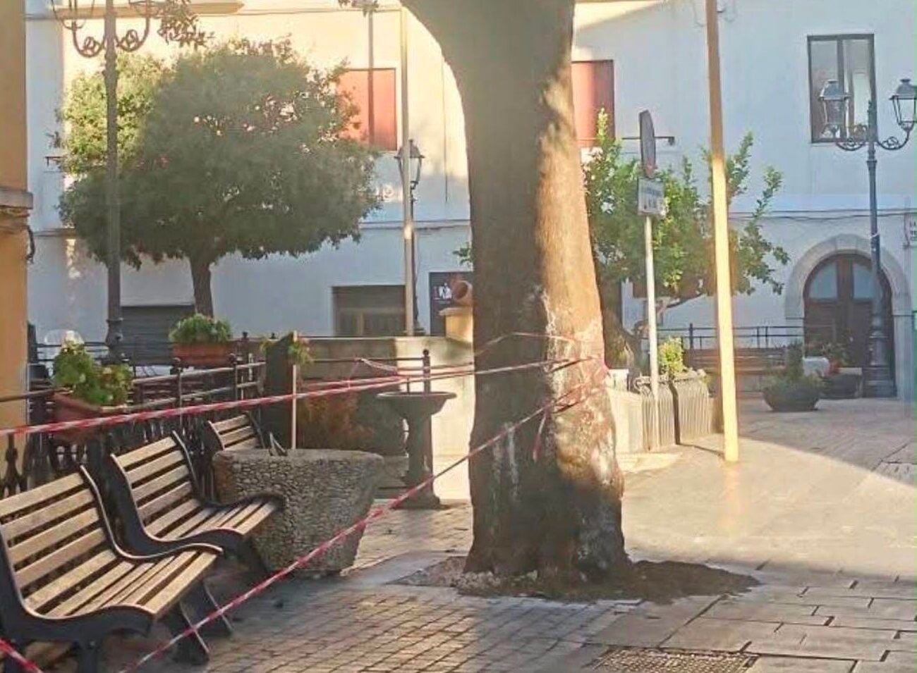 Leccio di Aquara