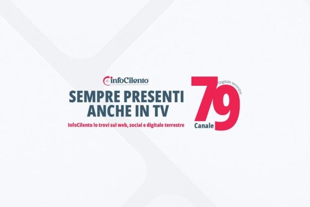 Tg InfoCilento 17 settembre 2026, edizione delle 13:55