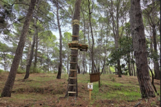 Nuovo parco avventura a Castellabate, via libera al progetto a Monte Licosa