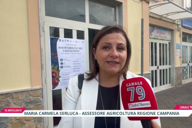 Siccità nel Cilento: i Comuni chiedono lo stato di calamità naturale