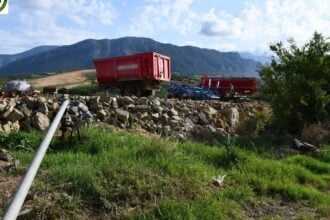 Capaccio Paestum, sequestrato allevamento bufalino e scarichi illeciti