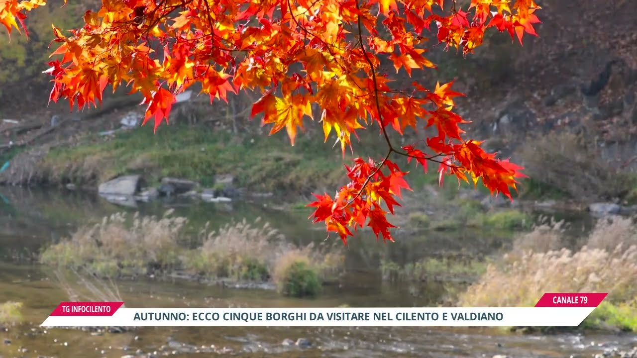 Autunno nel Cilento più selvaggio: cinque borghi e oasi segrete da scoprire lontano da tutto